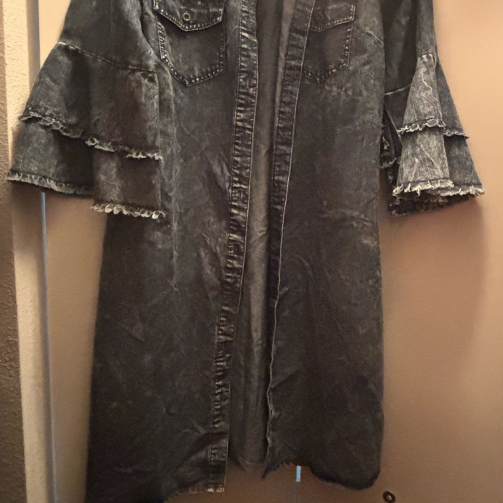 Blue Jean Dress with Ruffled Sleeves and Casual Style